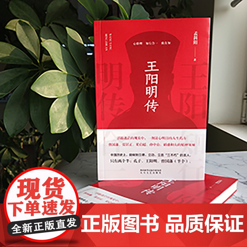 王阳明传 孟斜阳 知行合一的心学智慧 浮躁迷茫的现实中 一剂清心明目的人生药方人生哲学国学经典书籍传习录管理智慧高清大图