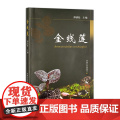 正版 金线莲 320536 邵清松 2024.06