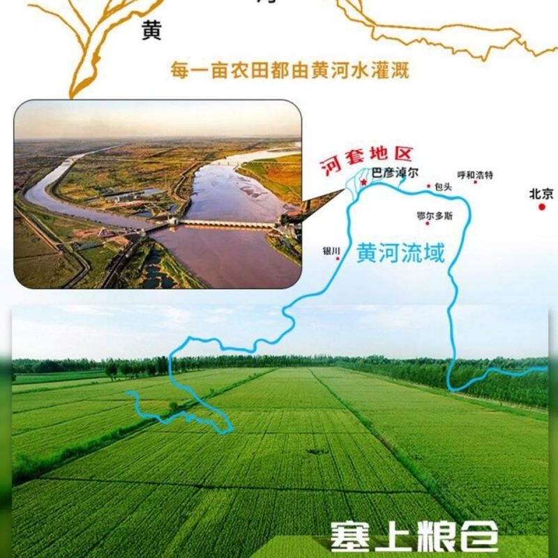 河套高筋小麦粉 5kg
