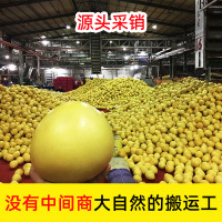 福建平和琯溪红心蜜柚2斤/5斤/9斤 红心柚子红肉新鲜当季水果