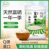 纷纯 纯香富硒大米营养健康软糯可口中长粒大米当季新米籼米真空包装袋装