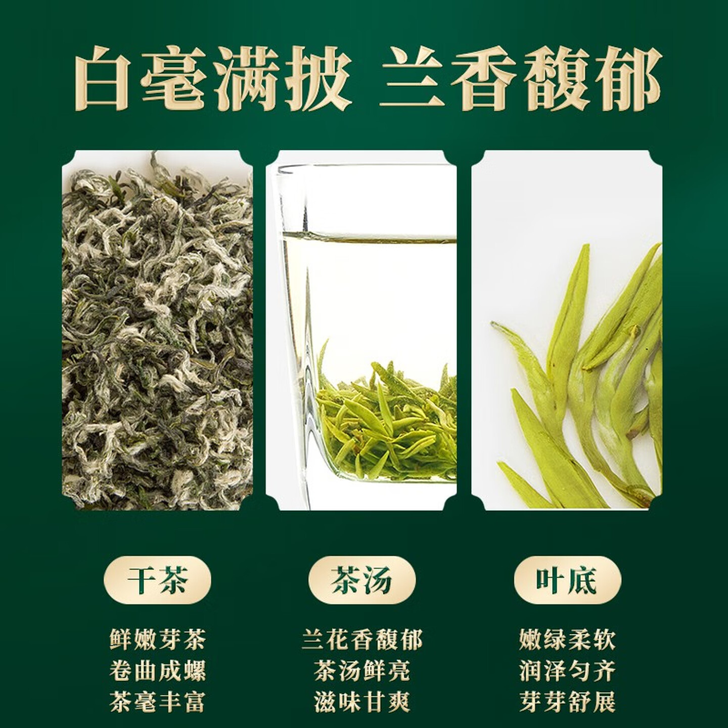 艺福堂春生赋花香螺韵碧螺春礼盒250g/盒EFU15+高清大图