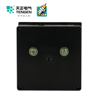天正电气(TENGEN)6L2-A 30A 机械表 1.5级 嵌入式 09022250001 电测仪表