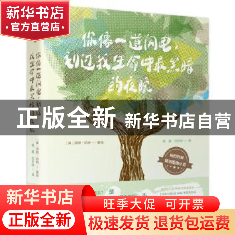 正版 你像一道闪电,划过我生命中最黑暗的夜晚 [美]汤姆·哈特(T高清大图
