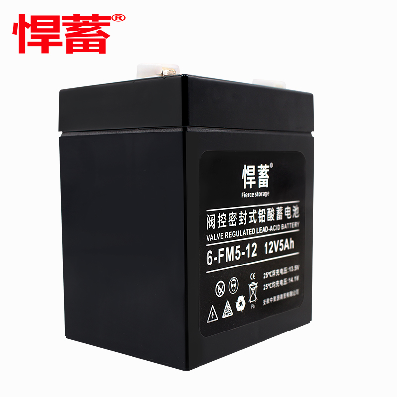 12V5AH阀控式铅酸蓄电池直流屏EPS应急UPS电瓶安防通讯6FM5-12高清大图
