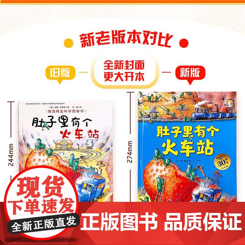 正版童书 德国精选科学图画书全套4册 肚子里有个火车站绘本非注音版牙齿大街的新鲜事大脑里的快递站皮肤国的大麻烦故事书高清大图