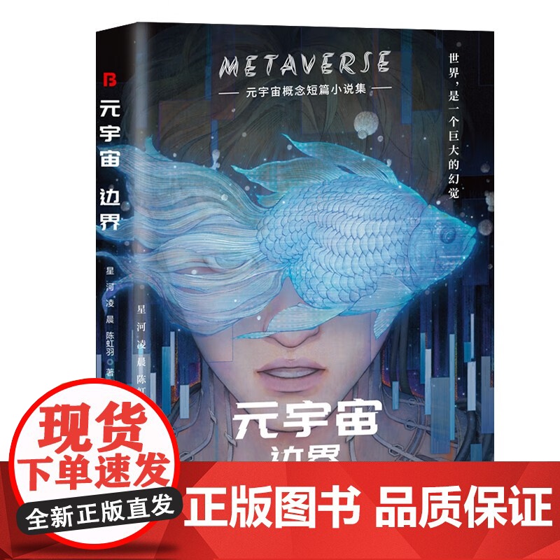 元宇宙:边界 (元宇宙概念短篇小说集。人类命运、人机关系、科技道德、宇宙空间这个时代有什么新变迁?)高清大图