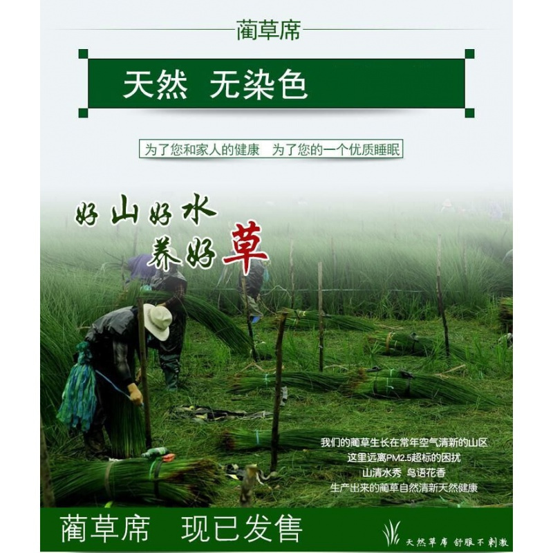 学生凉席席子垫1.2蔺1.0宿舍单人1.8m米双人床芦苇席编0.9_1 其它 光滑细腻90*190厘米单席