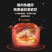 荣事达(Royalstar)砂锅陶瓷煲1.6L家用汤锅干烧不裂中式炖汤明火煎药煲仔饭RA182218*18-9