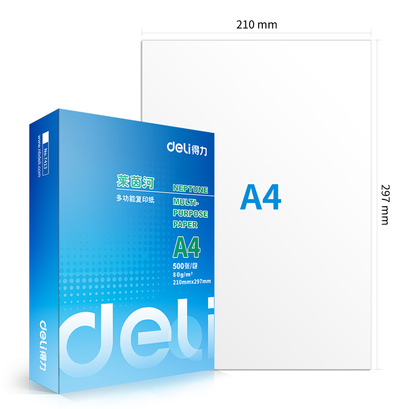 得力 7419 复印纸莱茵河80克A4 打印纸 a4复印纸白纸 5包/箱 1箱价格高清大图