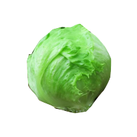 好润青结球生菜种子3000粒袋装