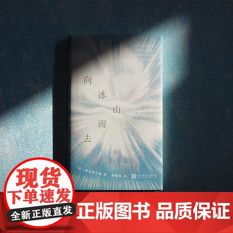 向冰山而去(诺贝尔文学奖得主勒克莱齐奥作品) 勒克莱齐奥 人民文学出版社 正版书籍高清大图