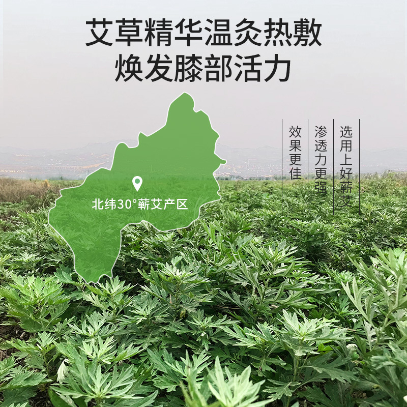 山山艾草膝盖贴10片装自发热艾叶艾灸关节疼痛冬季热敷贴正品颈椎护膝腰椎帖