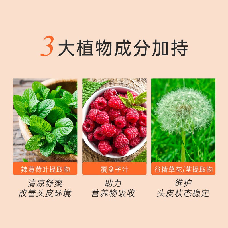 滋源(seeyoung) 男士 茶籽控油去屑 535ml 洗头水 (计价单位:瓶)高清大图