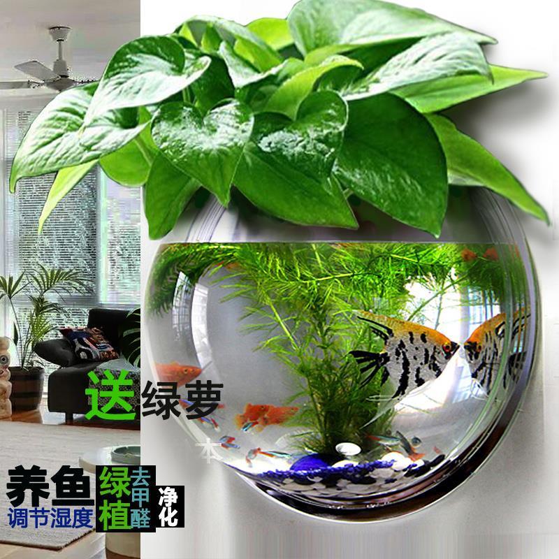 小号15CM透明+彩石仿真水草 中等 免钉壁挂花瓶水培创意挂壁鱼缸花瓶饰品墙上花盆吊兰绿萝垂吊吊篮