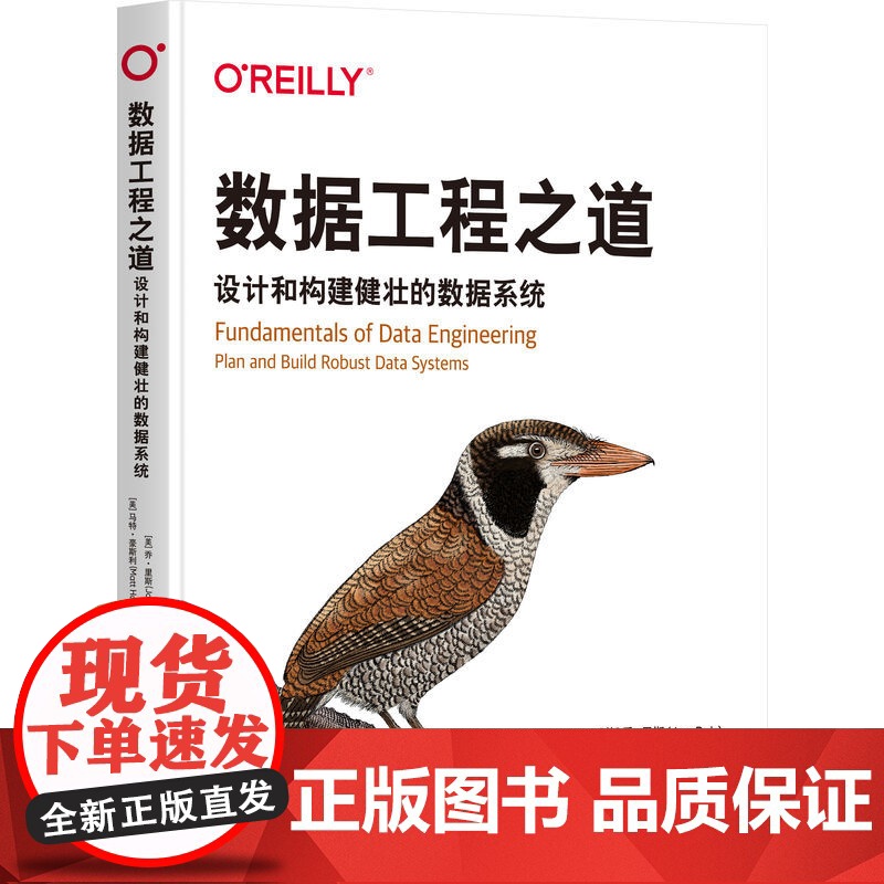 数据工程之道:设计和构建健壮的数据系统 [美]乔·里斯 [美]马特·豪斯利高清大图