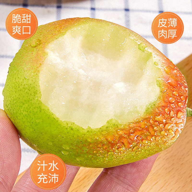 [熊猫鸟]河北精品红香酥梨 净重3斤装 新鲜当季水果 现摘现发 香甜可口