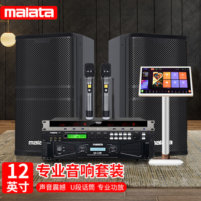 万利达(Malata)AM802A家庭KTV音响套装 会议点歌机音箱卡拉OK户外演出表演蓝牙功放音响