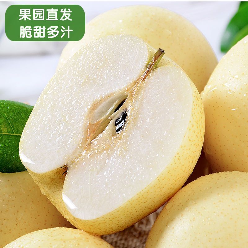[带箱10斤精选] 皇冠梨 现摘新鲜皇冠梨新鲜水果非香梨雪早酥梨五斤9斤装产地直发甘鲜生