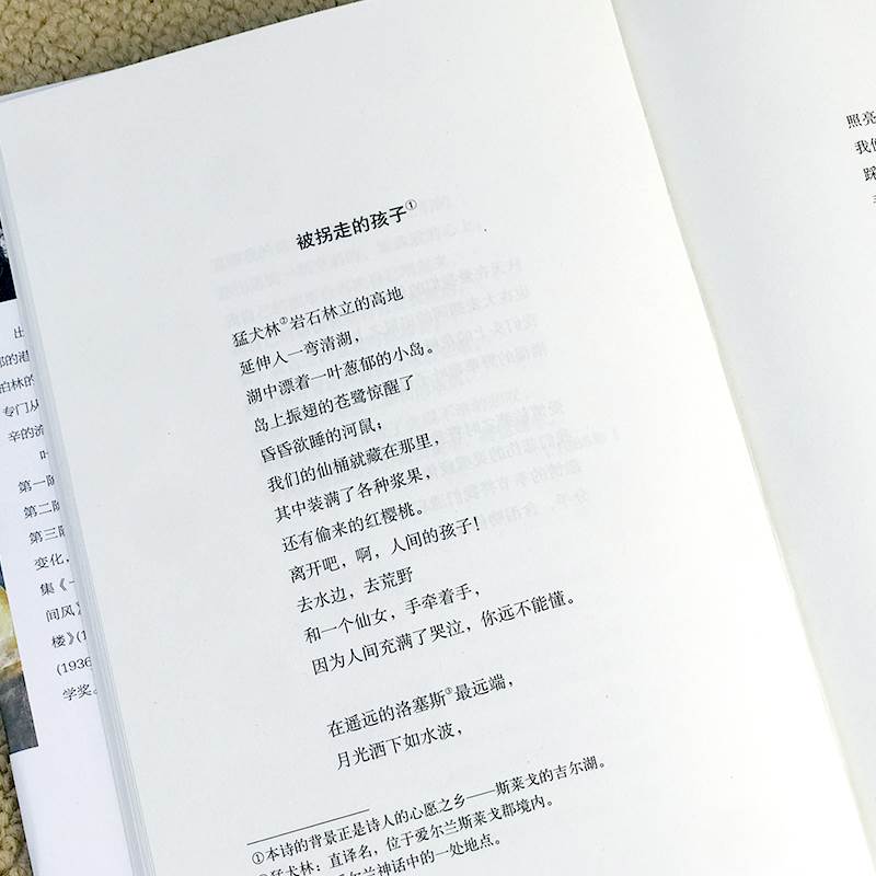 [正版]当你老了叶芝诗选诗集外国诗歌诺贝尔文学奖书系北京理工大学出版社叶芝抒情诗选 爱情诗歌集世界文学书籍gq高清大图