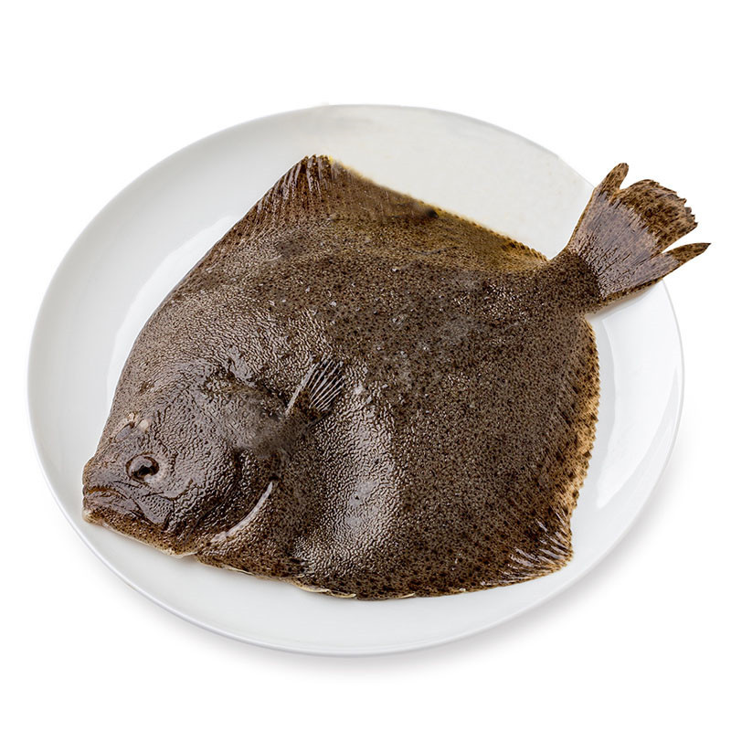 博多客鱼类比目鱼多宝鱼平鱼鸦片鱼鲆鱼鲽鱼大牙片鱼航空运输1kg 价格图片品牌报价 苏宁易购鲜快美食品专营店