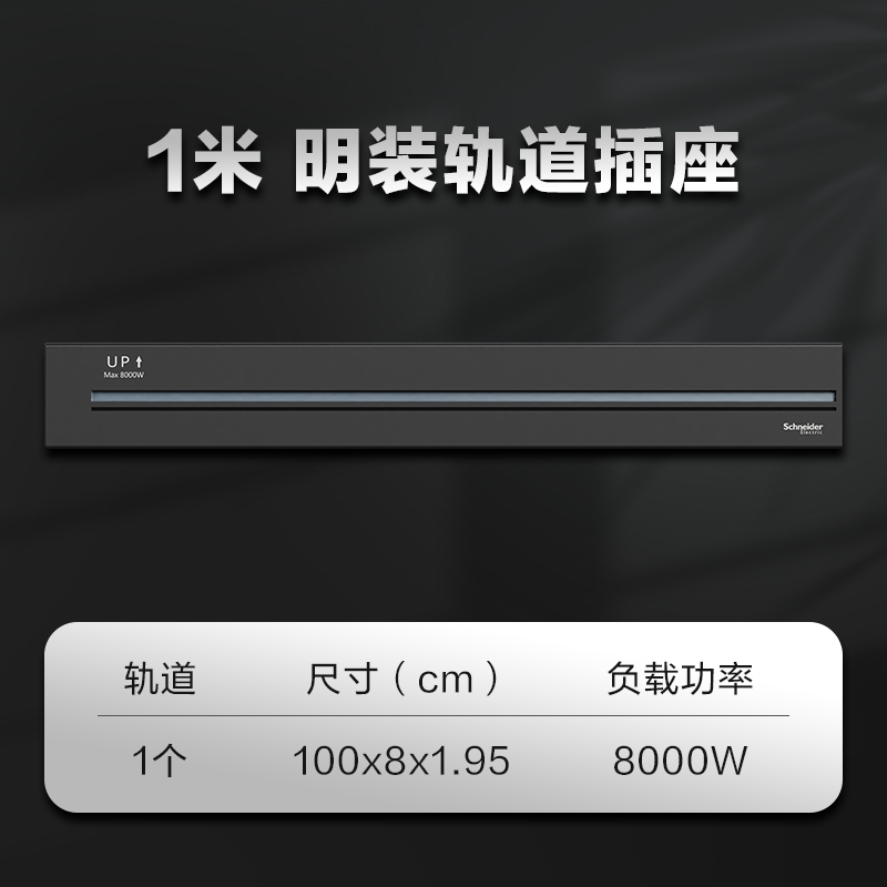 电子/电工>开关/插座>接线板/插头>施耐德电气(schneiderelectric)>