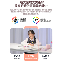 雷士照明儿童房灯主卧室灯全光谱吸顶灯男孩女孩房间灯具龙猫灯