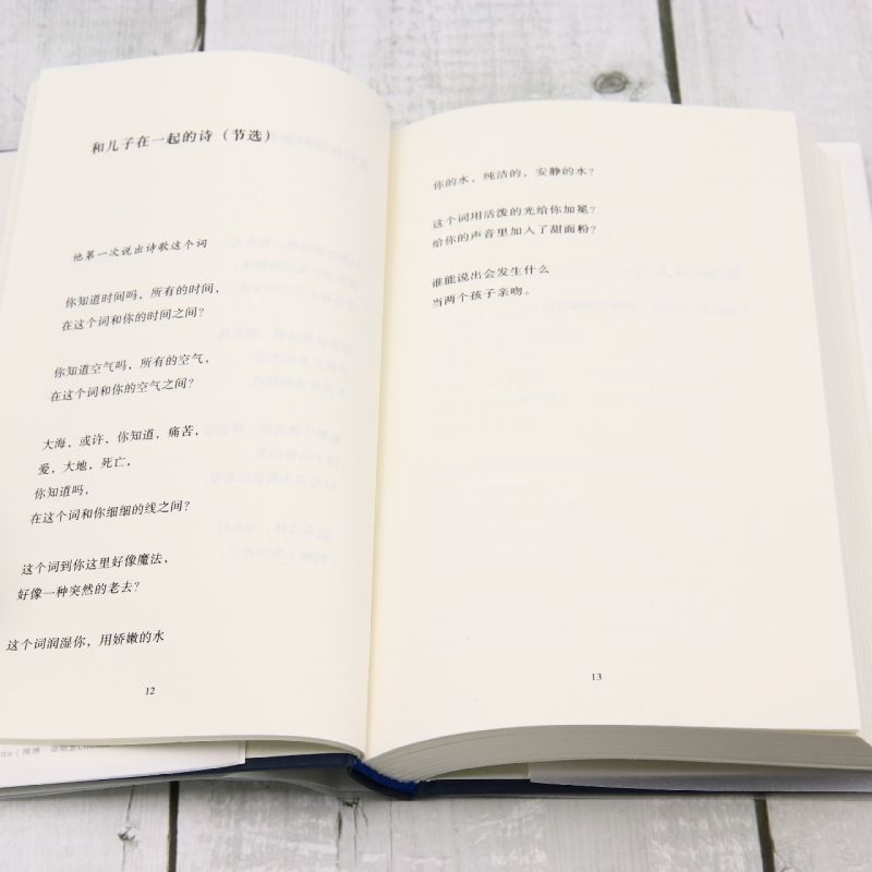 [正版]试探黑夜:胡安·赫尔曼诗选 百年孤独译者范晔编译 用诗歌捍卫人的尊严储存人的希望 20世纪西语诗歌巨擘 外国诗高清大图