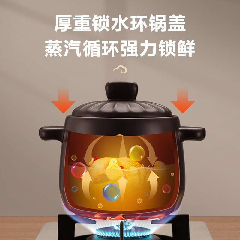 苏泊尔(SUPOR) 陶瓷煲新陶养生煲深汤煲炖锅家用煲汤熬药焖烧明火6L TB60A1