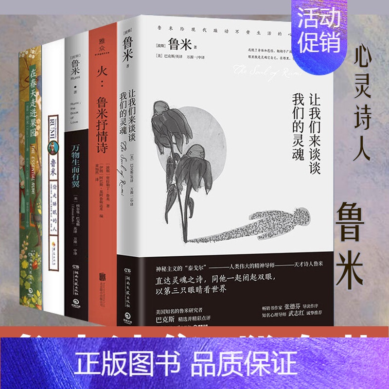 [正版]鲁米诗集5册套装 在春天走进果园 火 鲁米抒情诗 万物生而有翼 让我们来谈谈我们的灵魂 鲁米偷走睡眠的人 外国诗高清大图