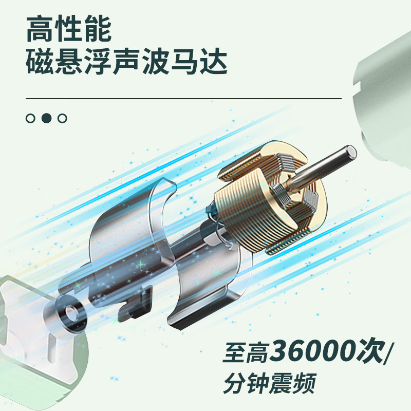 西屋(WESTINGHOUSE) 成人声波电动牙刷 5档刷牙模式 全身水洗 充电款 WT-504Y/WT-504G高清大图