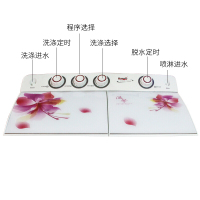 海鸥(HAIOU)XPB100-1002S 10kg超大容量双缸双筒半自动洗衣机全国联保红百合