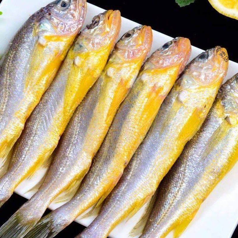 东海海捕海鲜黄花鱼海鲜小黄鱼海鲜鲜活黄花鱼海鲜鲜活小黄鱼 5斤装[