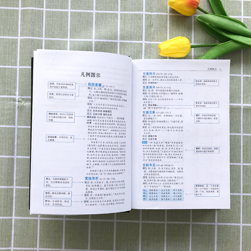 [套装3本]英汉+成语+现代汉语 [正版]新版中华成语词典双色精装版中小学生工具书大成语词典大全多功能成语大字典初中高中高清大图