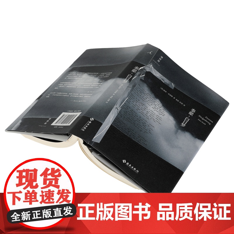 奉献·白日梦 帕蒂·史密斯 著 随笔 摇滚 写作 回忆录 美国国家图书奖 理想国图书 正版书籍高清大图