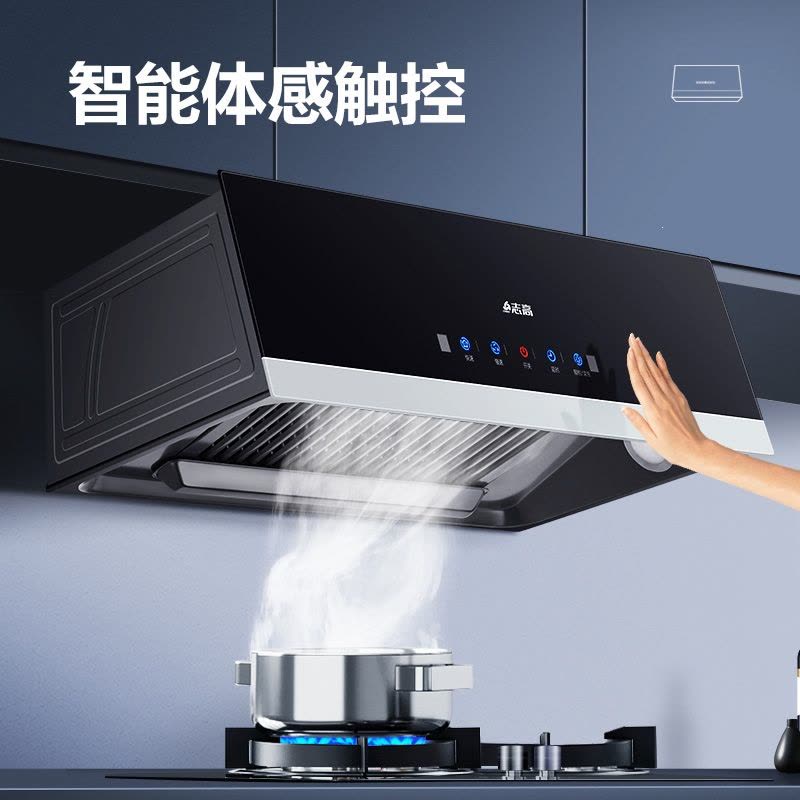 志高(CHIGO)抽油烟机家用厨房大吸力中式欧式吸油机自动清洗出租房抽烟机_按键普通锥网自行安装图片