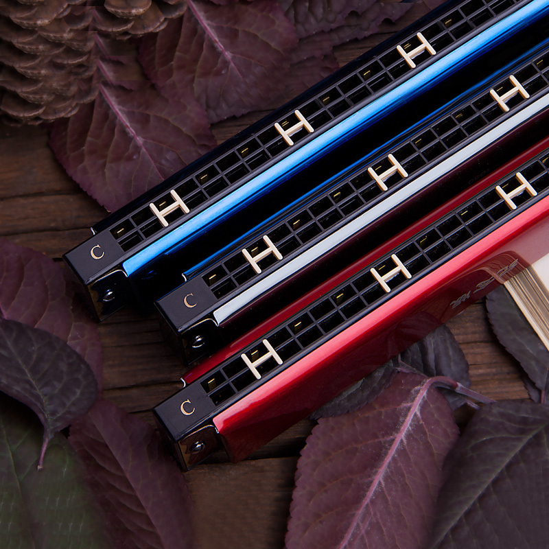 国光24孔复音c调口琴初学者小学生儿童入门练习演奏口琴免费刻字