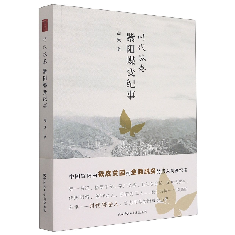 音像时代答卷(紫阳蝶变纪事)高鸿 著