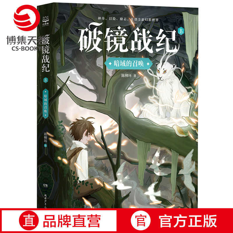 [正版]博集天卷破镜战纪·暗域的召唤 陈柳环 学生课外阅读书籍儿童文学励志冒险奇幻幻想小说书籍 书籍高清大图