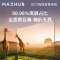 MAXHUB商用显示器 4K超高清HDR投影无线投屏 企业办公智慧电视[ 85英寸 W85PNA 商显屏+传屏器]