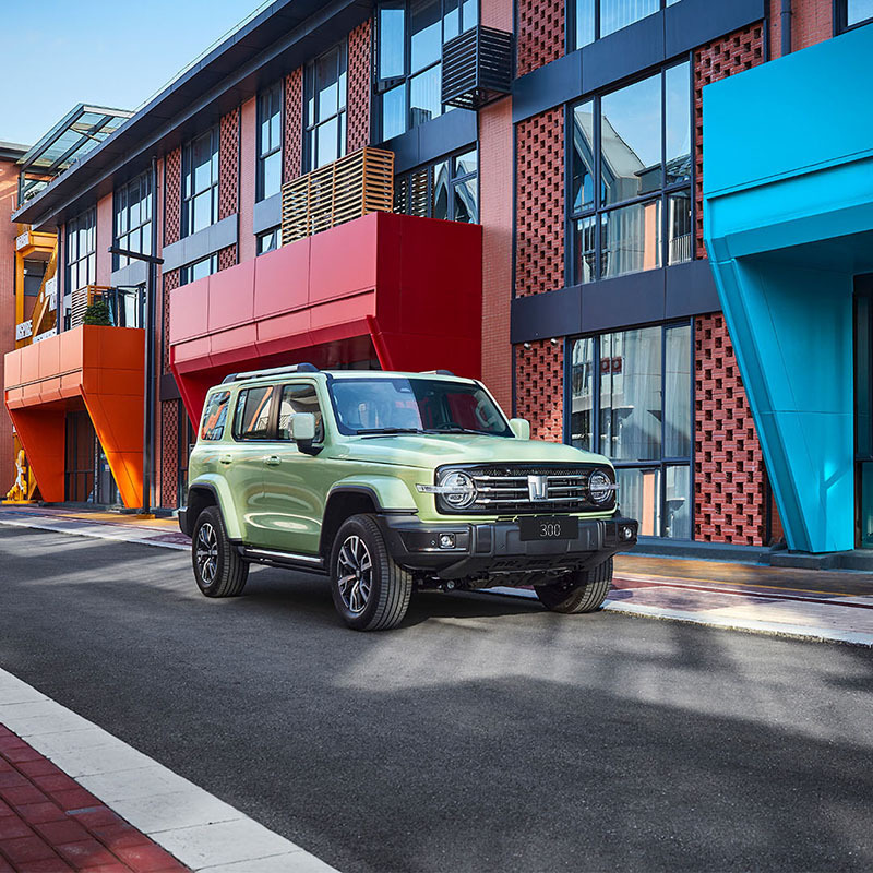 坦克(Thank) 坦克300 城市版 很有型 汽车 整车 城市SUV[直降7800元]