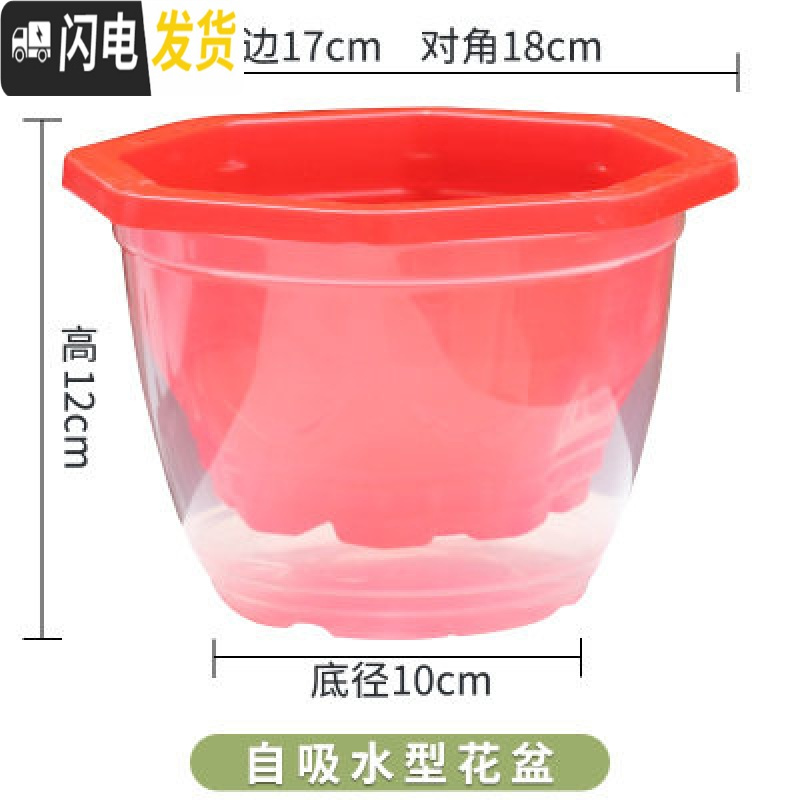 三维工匠花盆大号塑料透明罩懒人自动吸水花盆绿萝专用储水双层特价清仓 【3个装】8角红盆+透明罩+棉绳 大