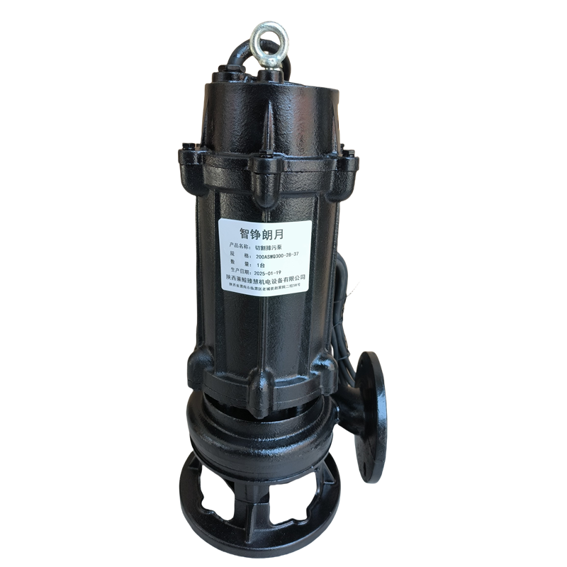智铮朗月 切割排污泵 200ASWQ300-28-37 台高清大图