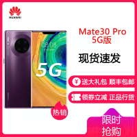 华为 HUAWEI Mate 30 Pro 5G 麒麟990 环幕屏双4000万徕卡电影四摄8GB+256GB罗兰紫5G全网通版