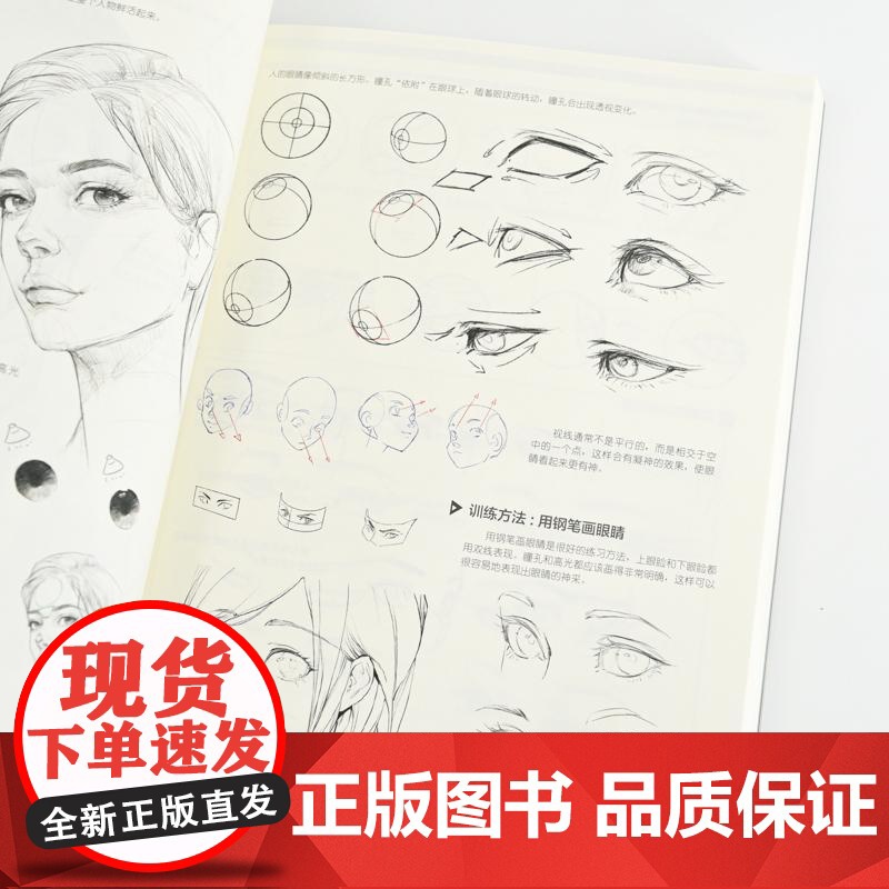 女性角色人体结构动态基础与造型设计 人体结构动态人体解剖肌肉与线条动漫人体造型插画设计构图高清大图