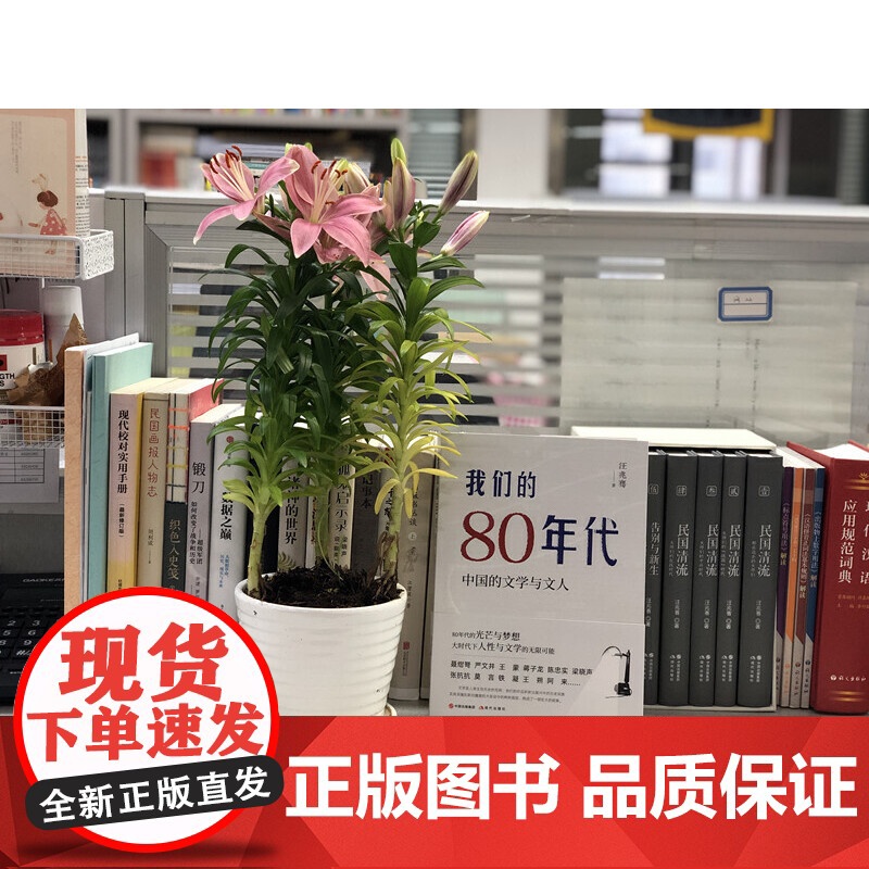 我们的80年代:中国的文学与文人 汪兆骞 现代出版社 正版书籍高清大图
