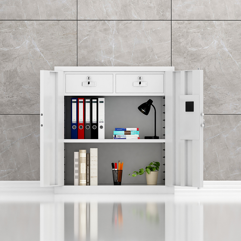 臻远 ZY5121120 单节密码文件柜档案资料柜 常规单节智能指纹锁高清大图