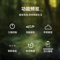 TCL户外照明露营灯超长续航帐篷野营地led充电氛围灯挂式复古马灯