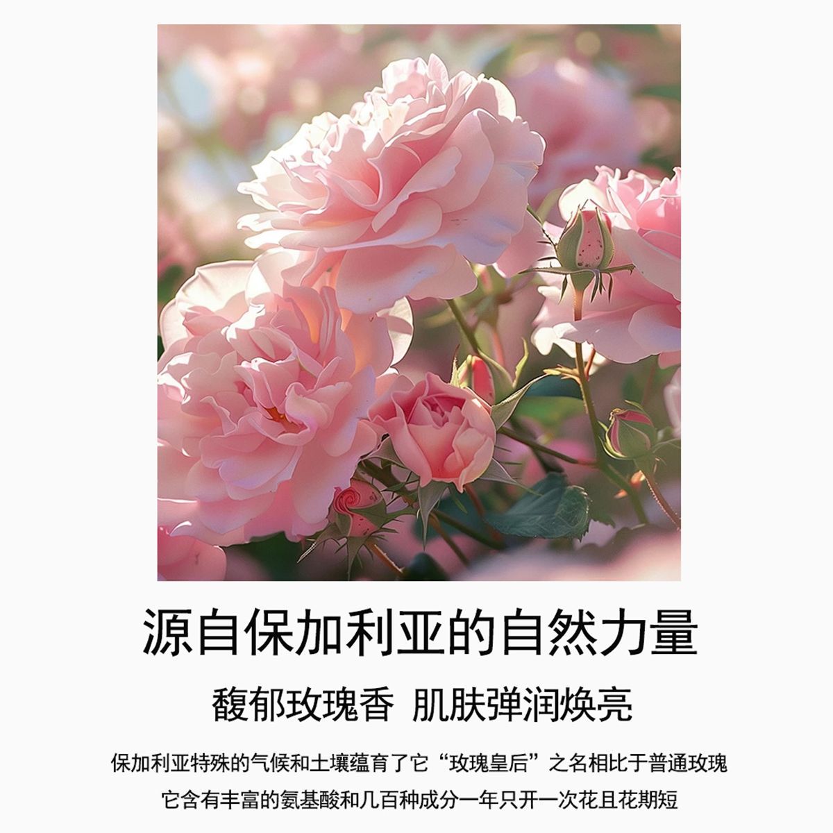 ZRZR保加利亚玫瑰精油护手霜护手油秋冬干裂旅行便携手部护理高清大图
