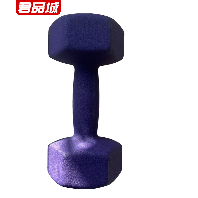 君品城 浸塑哑铃(紫色) 8kg*2 一对
